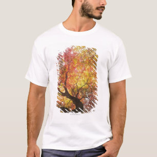 Herbst T-Shirt