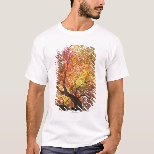 Herbst T-Shirt (Vorderseite)