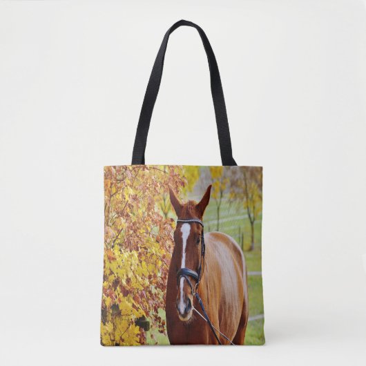 Herbst Tasche (Vorderseite)