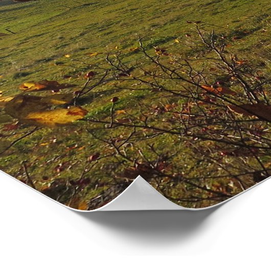 Herbst Tatras Poster (Ecke)