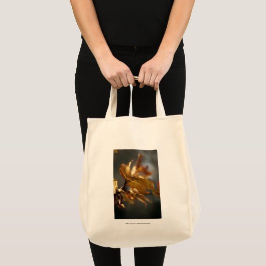 Herbst Tragetasche (Vorderseite (Produkt))