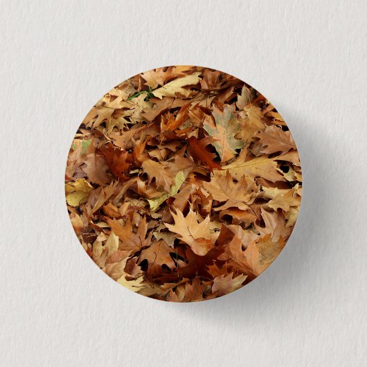 Herbst, trockene Blätter Button (Vorderseite)