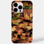 Herbst, trockene Blätter Case-Mate iPhone Hülle (Rückseite)