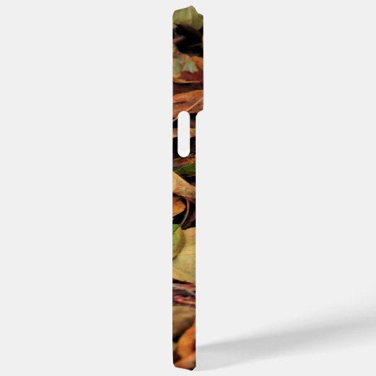 Herbst, trockene Blätter Case-Mate iPhone Hülle (Rückseite / Rechts)