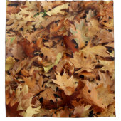 Herbst, trockene Blätter Duschvorhang (Vorderseite)