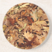 Herbst, trockene Blätter Getränkeuntersetzer (Vorne)