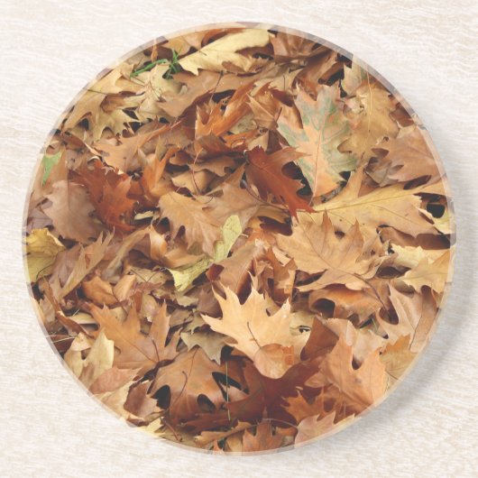 Herbst, trockene Blätter Getränkeuntersetzer (Vorne)