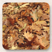 Herbst, trockene Blätter Getränkeuntersetzer (Vorderseite)