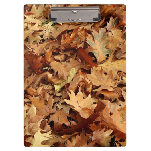 Herbst, trockene Blätter Klemmbrett (Vorderseite)