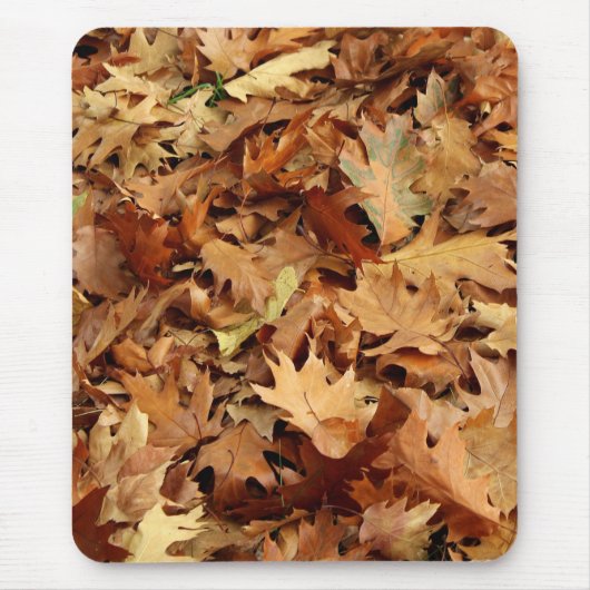 Herbst, trockene Blätter Mousepad (Vorne)