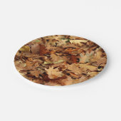 Herbst, trockene Blätter Pappteller (Schrägansicht)