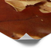 Herbst, trockene Blätter Poster (Ecke)