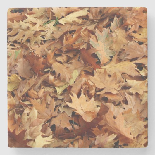 Herbst, trockene Blätter Steinuntersetzer (Vorderseite)