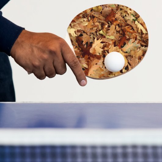 Herbst, trockene Blätter Tischtennis Schläger (InSitu)