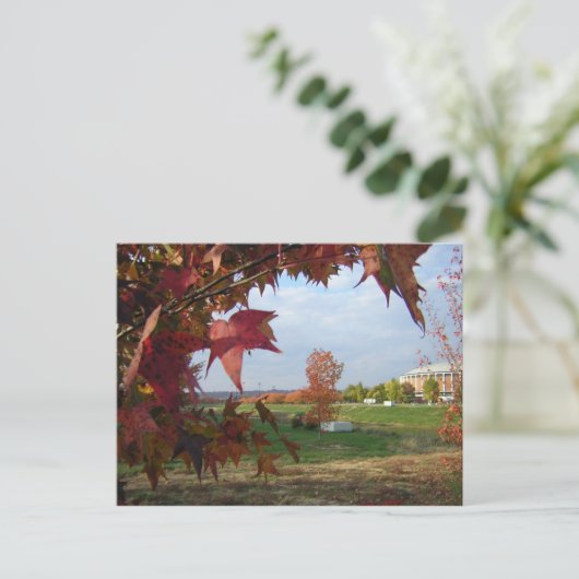 Herbst über Postkarte Convo (Stehend Vorderseite)