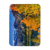 Herbst um Juni Lake, Kalifornien Magnet (Vertikal)