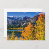 Herbst um Juni Lake, Kalifornien Postkarte (Vorne/Hinten)