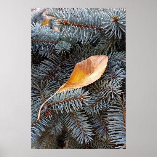 Herbst und Winter Poster (Vorne)