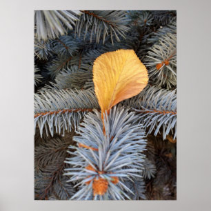 Herbst und Winter Poster