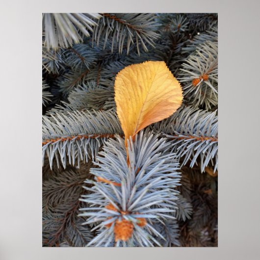 Herbst und Winter Poster (Vorne)