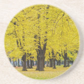 Herbst-Untersetzer Getränkeuntersetzer (Vorne)