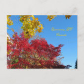 Herbst Vancouver, BC Postkarte (Vorderseite)
