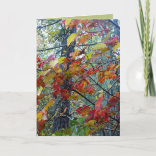 Herbst verkörpert karte