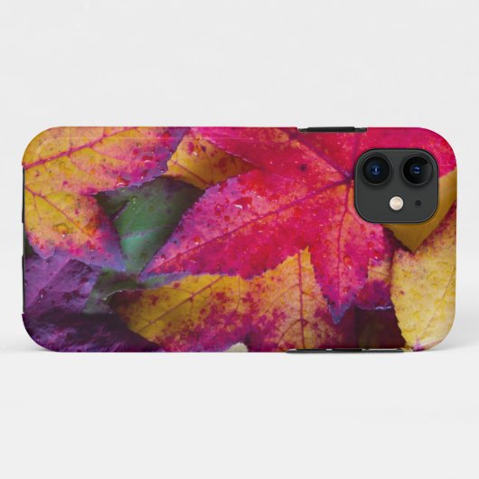 Herbst verlässt #2 Case-Mate iPhone hülle (Rückseite (Horizontal))