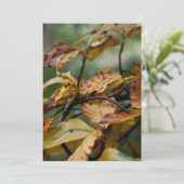 Herbst verlässt Erntedank Einladung (Stehend Vorderseite)