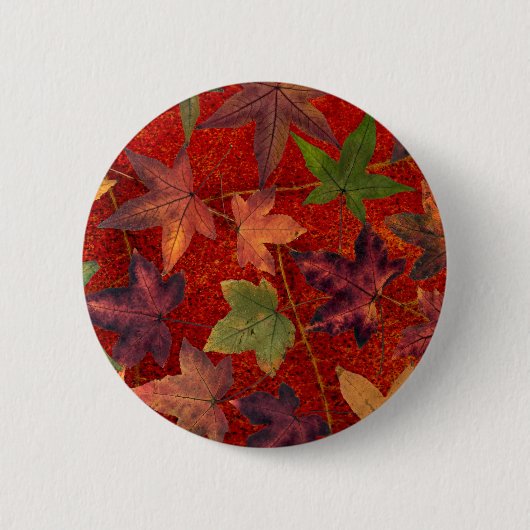 Herbst verlässt Fall-Jahreszeit-Baum-Blatt bunt Button (Vorderseite)