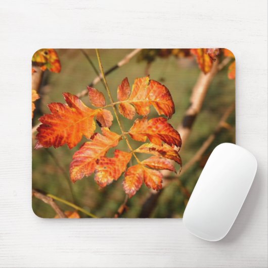 Herbst verlässt Farben Mousepad (Mit Mouse)