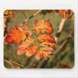 Herbst verlässt Farben Mousepad