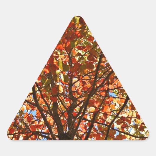 Herbst verlässt Fireworks Dreieckiger Aufkleber (Vorderseite)