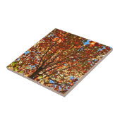 Herbst verlässt Fireworks Fliese (Seite)