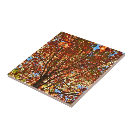 Herbst verlässt Fireworks Fliese (Seite)