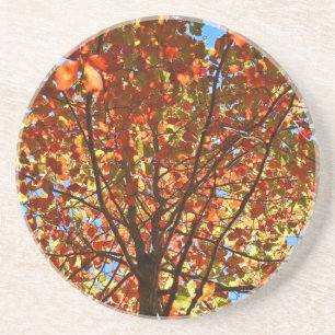 Herbst verlässt Fireworks Getränkeuntersetzer