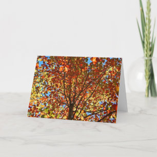 Herbst verlässt Fireworks Karte