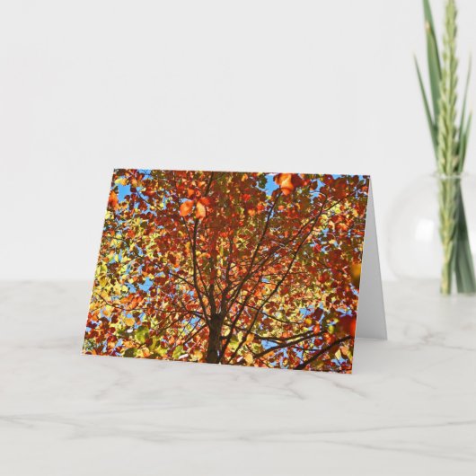 Herbst verlässt Fireworks Karte (Vorderseite)