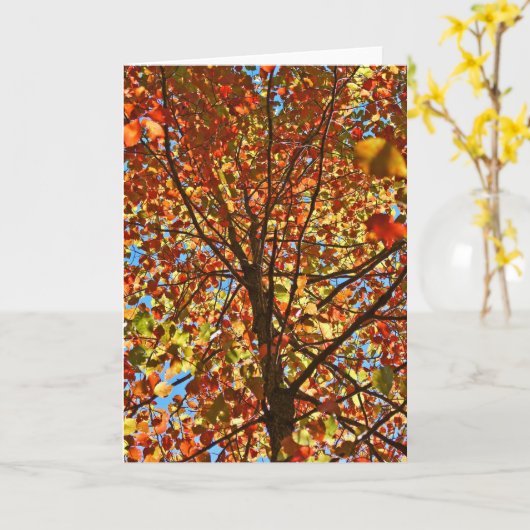 Herbst verlässt Fireworks Karte (Gelbe Blume)