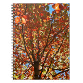 Herbst verlässt Fireworks Notizblock (Vorderseite)