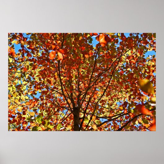 Herbst verlässt Fireworks Poster (Vorne)