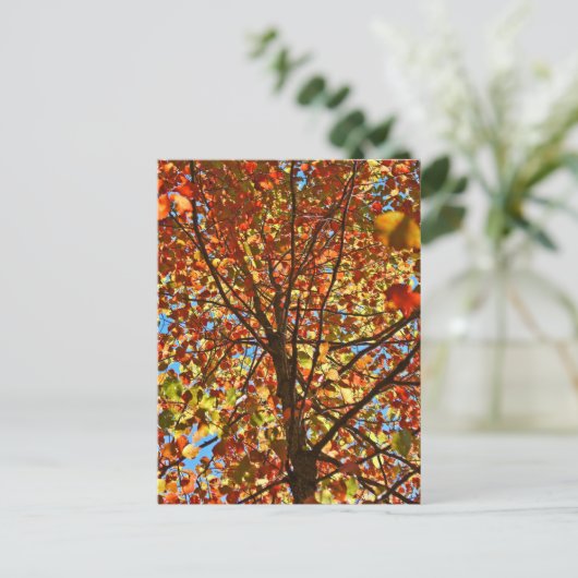 Herbst verlässt Fireworks Postkarte (Stehend Vorderseite)