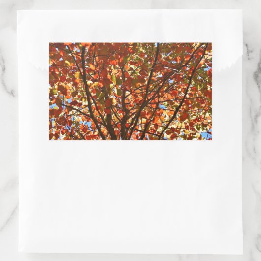 Herbst verlässt Fireworks Rechteckiger Aufkleber (Tasche)