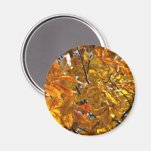 Herbst verlässt Gold Geschenke Apparell Sammlerstü Magnet (Vorderseite/Rückseite)