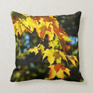 Herbst verlässt Kissen