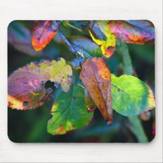 Herbst verlässt Mousemat Mousepad