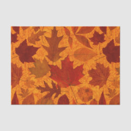 Herbst verlässt Orange Seidenpapier