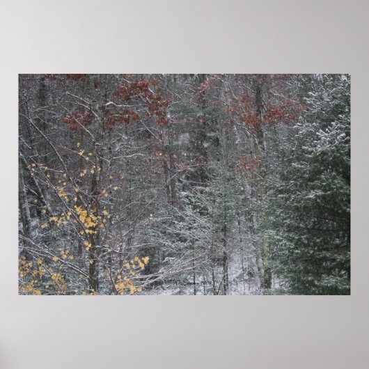 Herbst vor Winter Poster (Vorne)