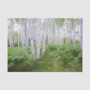 Herbst-Wald-Farn-Grüner-Wald-Birken-Bäume-Kunst Seidenpapier