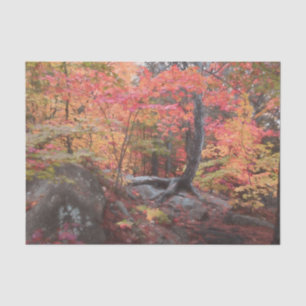 Herbst-Wald-Forst-Rot-Orange-Bäume-Decoupage Seidenpapier
